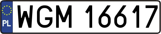 WGM16617