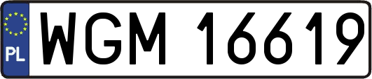 WGM16619