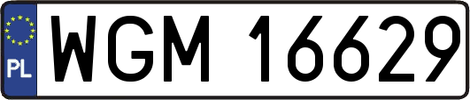 WGM16629
