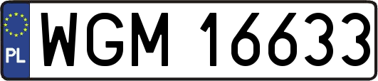WGM16633