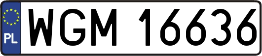WGM16636