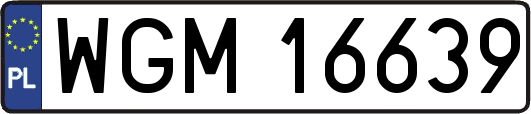 WGM16639