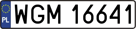 WGM16641