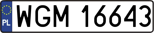 WGM16643