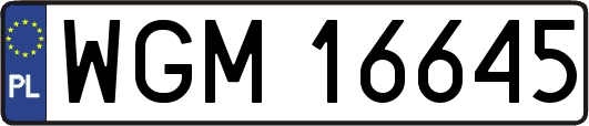 WGM16645