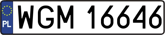 WGM16646