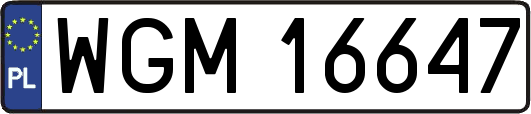 WGM16647