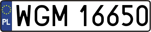 WGM16650