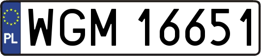 WGM16651