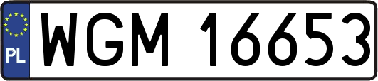 WGM16653