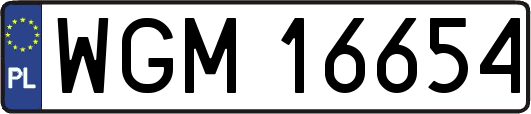 WGM16654