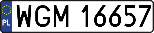 WGM16657