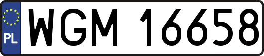 WGM16658