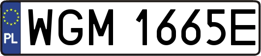 WGM1665E