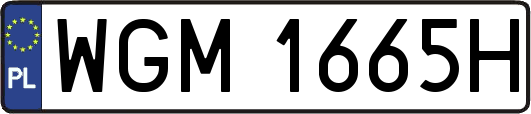 WGM1665H