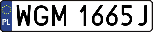 WGM1665J