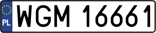 WGM16661
