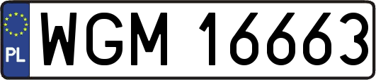WGM16663