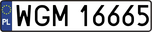 WGM16665