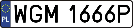 WGM1666P