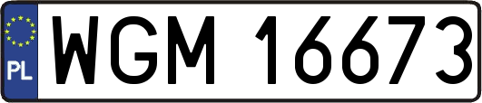 WGM16673