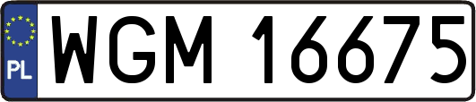 WGM16675