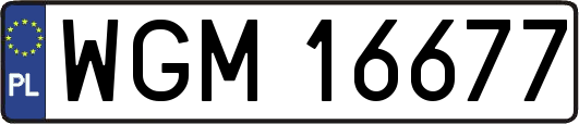 WGM16677