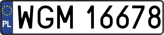 WGM16678