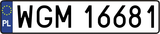 WGM16681
