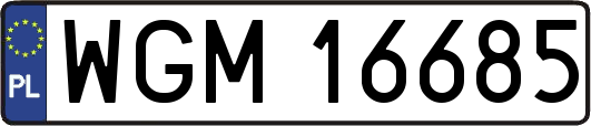 WGM16685