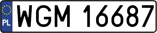 WGM16687
