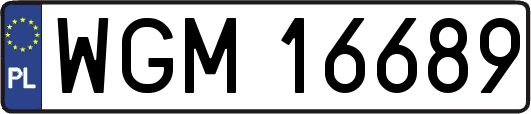 WGM16689