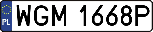 WGM1668P