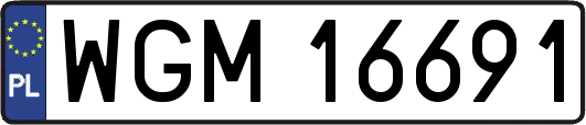 WGM16691