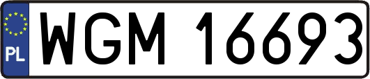 WGM16693