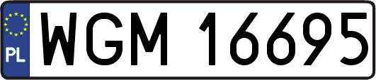 WGM16695