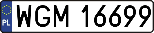 WGM16699