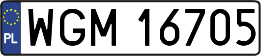 WGM16705