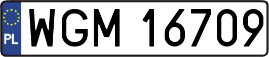WGM16709
