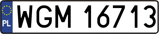 WGM16713