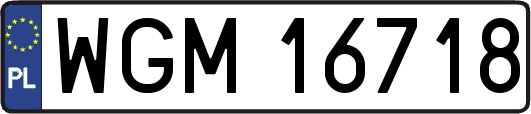 WGM16718