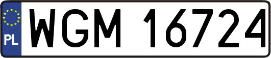 WGM16724