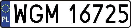 WGM16725