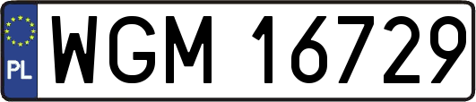 WGM16729