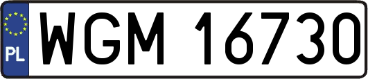 WGM16730