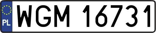 WGM16731