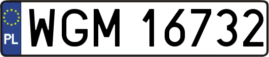 WGM16732