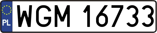 WGM16733