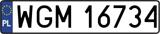WGM16734