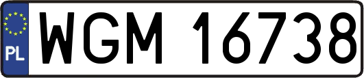 WGM16738
